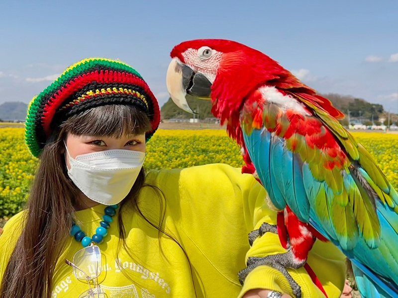 しあわせいんこ｜岡山・広島でコンゴウインコと気軽にふれあえる／出張・イベントお任せください！7